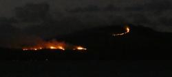 Lindeman bush-fire at night